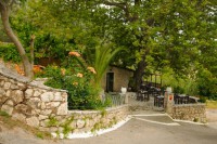 /album/a20/aah-6557-jpg4/